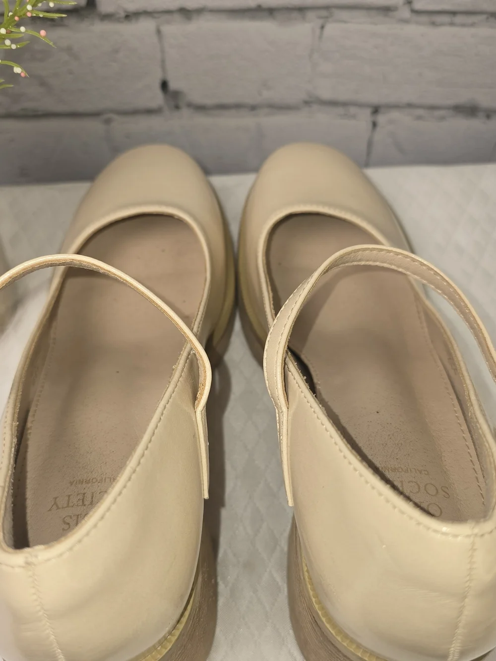 Oasis Society shiny cream
